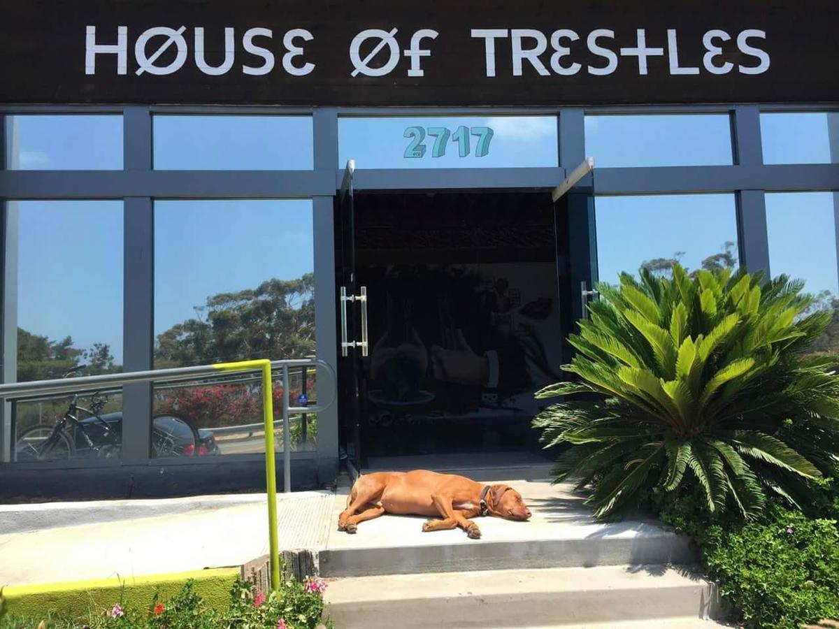 Auberge de jeunesse House Of Trestles à San Clemente Extérieur photo